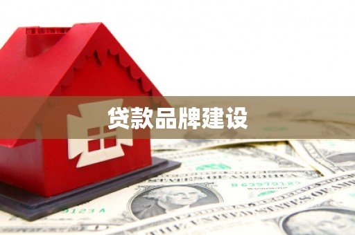 新安贷款品牌建设