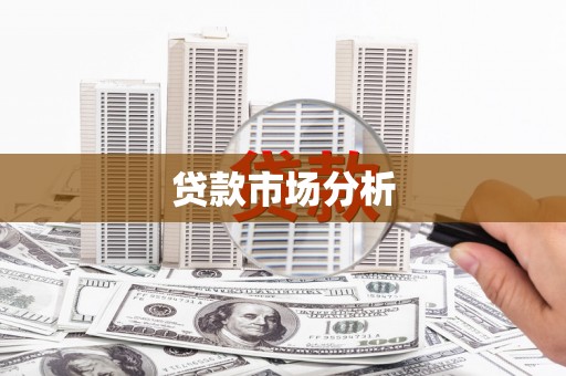 新安贷款市场分析