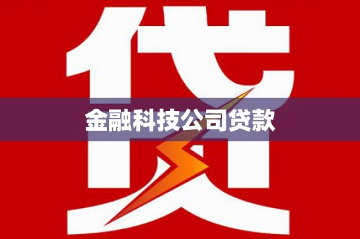 新安金融科技公司贷款
