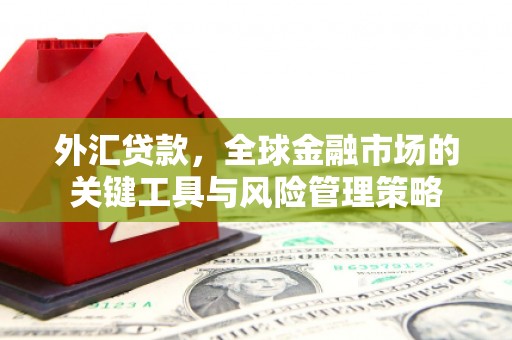 新安外汇贷款，全球金融市场的关键工具与风险管理策略