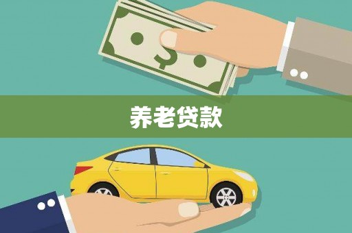 新安养老贷款