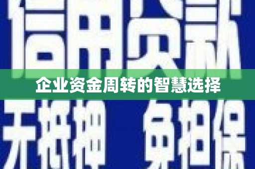 新安企业资金周转的智慧选择