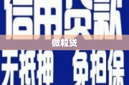 新安微粒贷