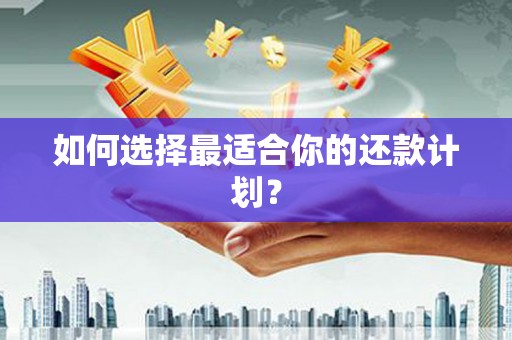 新安如何选择最适合你的还款计划？