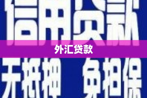 新安外汇贷款