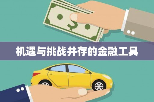 新安机遇与挑战并存的金融工具