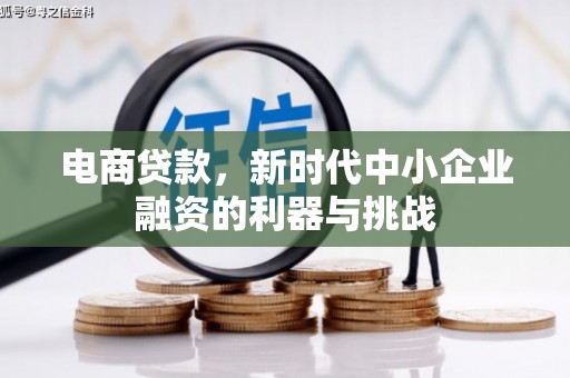 新安电商贷款，新时代中小企业融资的利器与挑战