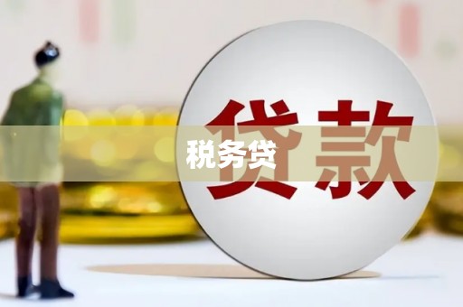 新安税务贷