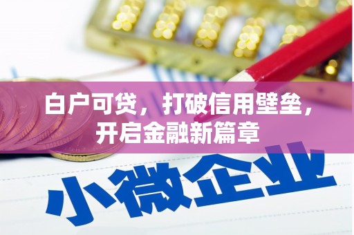 新安白户可贷，打破信用壁垒，开启金融新篇章