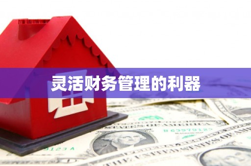 新安灵活财务管理的利器