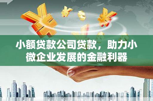 新安小额贷款公司贷款，助力小微企业发展的金融利器