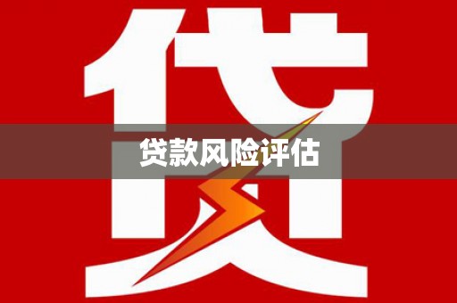 新安贷款风险评估