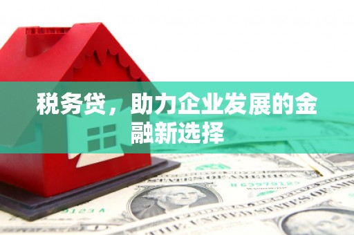 新安税务贷，助力企业发展的金融新选择