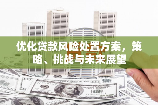新安优化贷款风险处置方案，策略、挑战与未来展望
