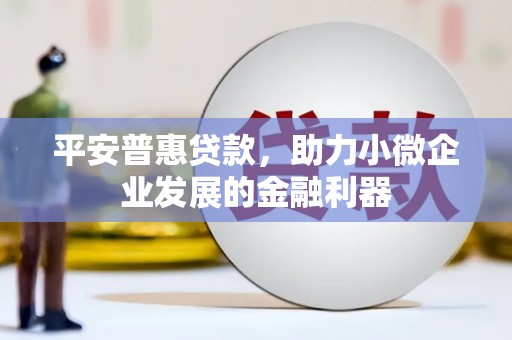 新安平安普惠贷款，助力小微企业发展的金融利器