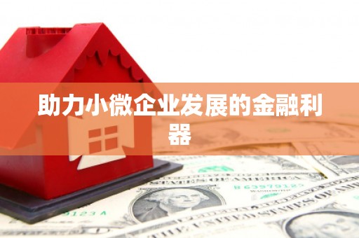 新安助力小微企业发展的金融利器