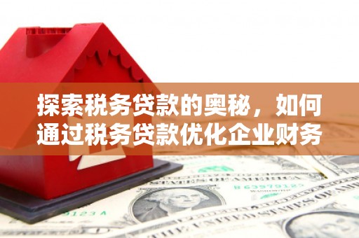 新安探索税务贷款的奥秘，如何通过税务贷款优化企业财务