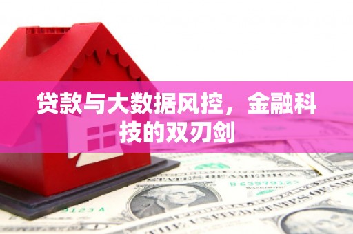 新安贷款与大数据风控，金融科技的双刃剑