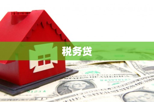 新安税务贷