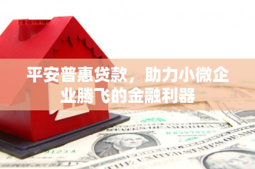 新安平安普惠贷款，助力小微企业腾飞的金融利器
