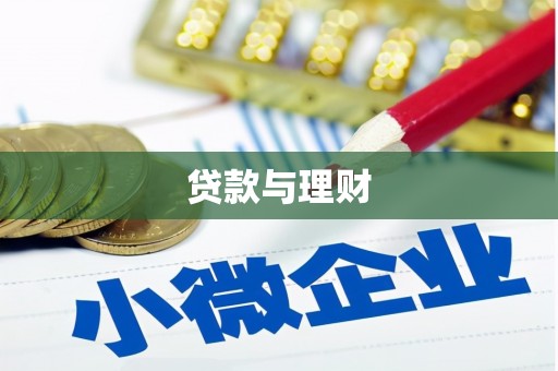 新安贷款与理财