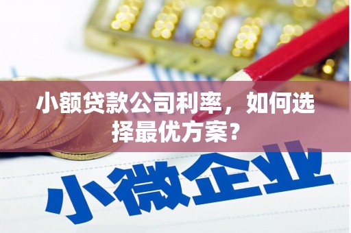 新安小额贷款公司利率，如何选择最优方案？