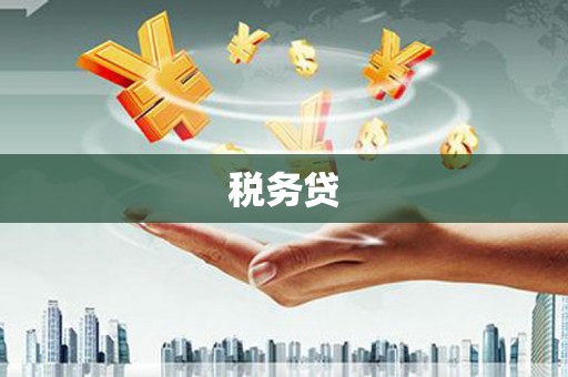 新安税务贷