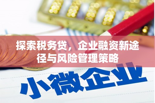 新安探索税务贷，企业融资新途径与风险管理策略