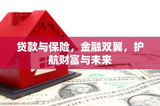 新安贷款与保险，金融双翼，护航财富与未来