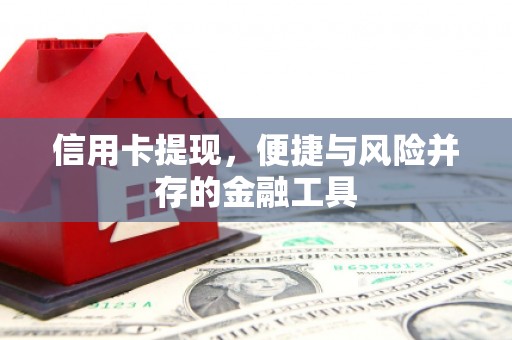 新安信用卡提现，便捷与风险并存的金融工具