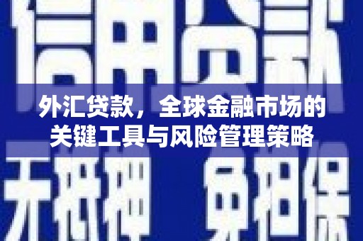 新安外汇贷款，全球金融市场的关键工具与风险管理策略