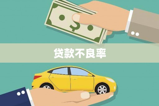 新安贷款不良率