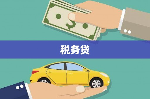 新安税务贷