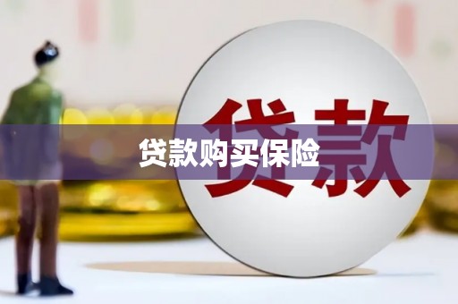 新安贷款购买保险