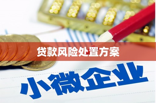 新安贷款风险处置方案