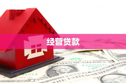 新安经营贷款