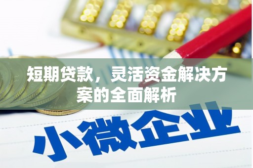 新安短期贷款，灵活资金解决方案的全面解析
