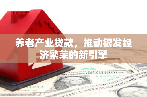新安养老产业贷款，推动银发经济繁荣的新引擎