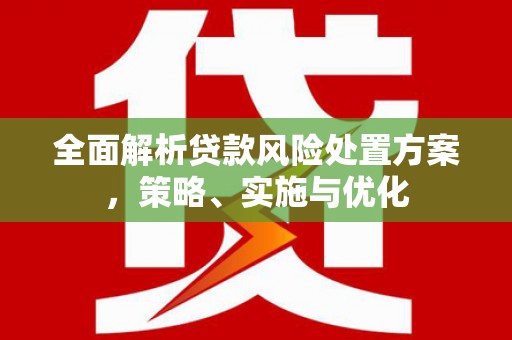 新安全面解析贷款风险处置方案，策略、实施与优化