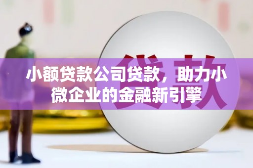 新安小额贷款公司贷款，助力小微企业的金融新引擎
