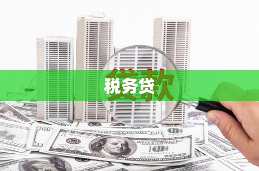 新安税务贷