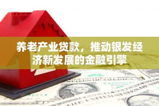 新安养老产业贷款，推动银发经济新发展的金融引擎