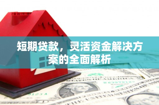 新安短期贷款，灵活资金解决方案的全面解析