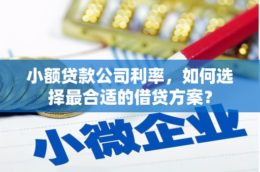 新安小额贷款公司利率，如何选择最合适的借贷方案？