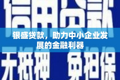新安银盛贷款，助力中小企业发展的金融利器