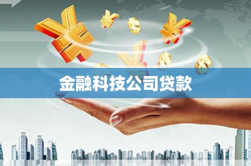 新安金融科技公司贷款