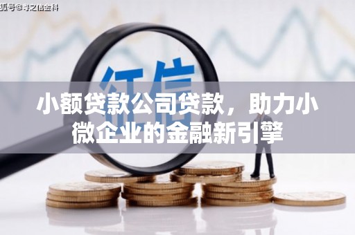 新安小额贷款公司贷款，助力小微企业的金融新引擎