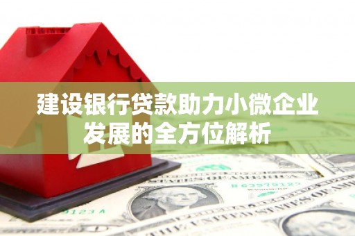新安建设银行贷款助力小微企业发展的全方位解析