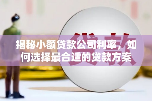 新安揭秘小额贷款公司利率，如何选择最合适的贷款方案