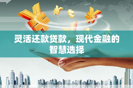 新安灵活还款贷款，现代金融的智慧选择